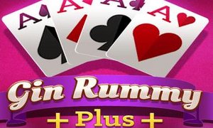Gin Rummy Plus