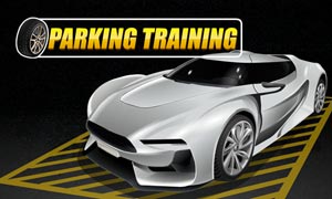 Parking Training