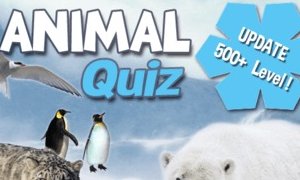 Animal Quiz