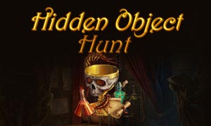 Hidden Object Hunt