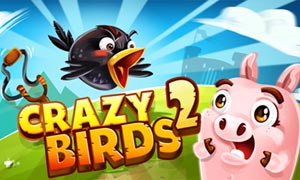 Crazy Birds 2