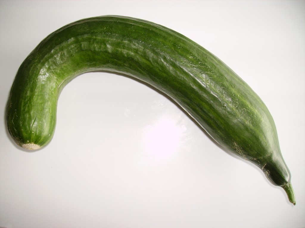 Bended_cucumber